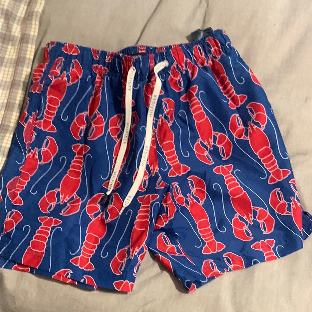 Tommy Hilfiger Blue and Red Swim Shorts